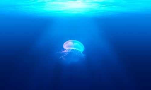 Object-Oriented Design Patterns in JavaScript