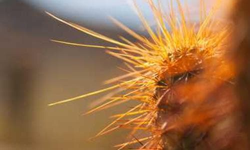 Cybersecurity Fundamentals: Defending the Digital Frontier